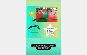 Poussins 7-8 ans année 2014 / 2015.