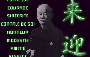 527ff6a57223a_control20judo93B.jpg