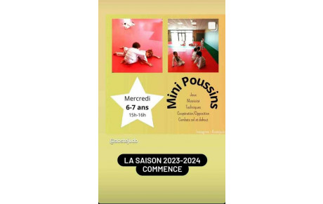 mini poussins 6-7ans année 2016 / 2017.